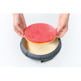 Ferro cake silicone mould