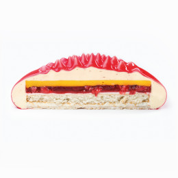 Ferro cake silicone mould