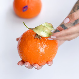 Orange cake silicone mould handmade