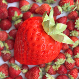 Strawberry cake silicone mould handmade