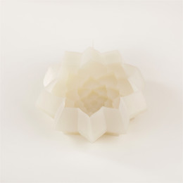 Succulent Cake silicone mould handmade