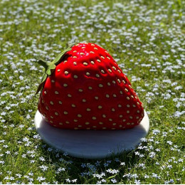 XXL Strawberry cake silicone mould handmade