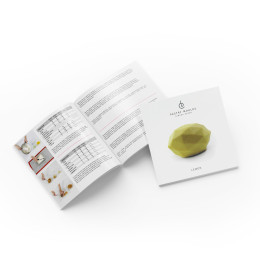 Lemon cakes silicone mould