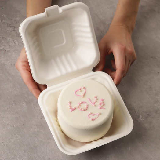 Simple bento cake silicone mould handmade