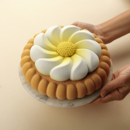 Crunch base Cake silicone mould handmade