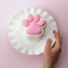 Puffy Paws Bento silicone mould handmade