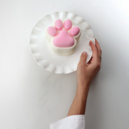 Puffy Paws Bento silicone mould handmade