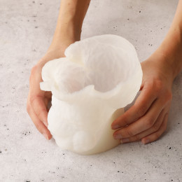 Puppy bento cake silicone mould handmade