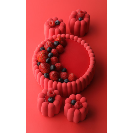 XXL Savoiardi cake silicone mould handmade