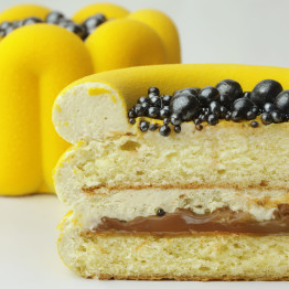 Solia bento cake silicone mould handmade