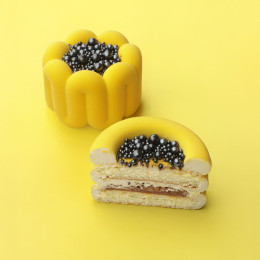 Solia bento cake silicone mould handmade