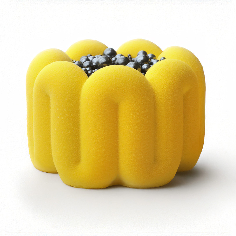 Symmetry bento cake silicone mould handmade