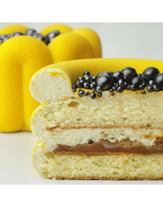 Symmetry bento cake silicone mould handmade