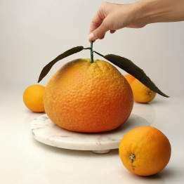 XXL Orange cake silicone mould handmade