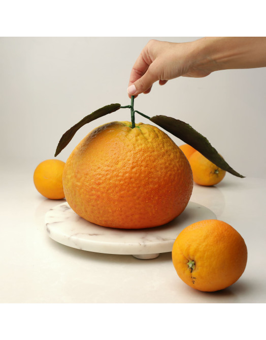 XXL Orange cake silicone mould handmade