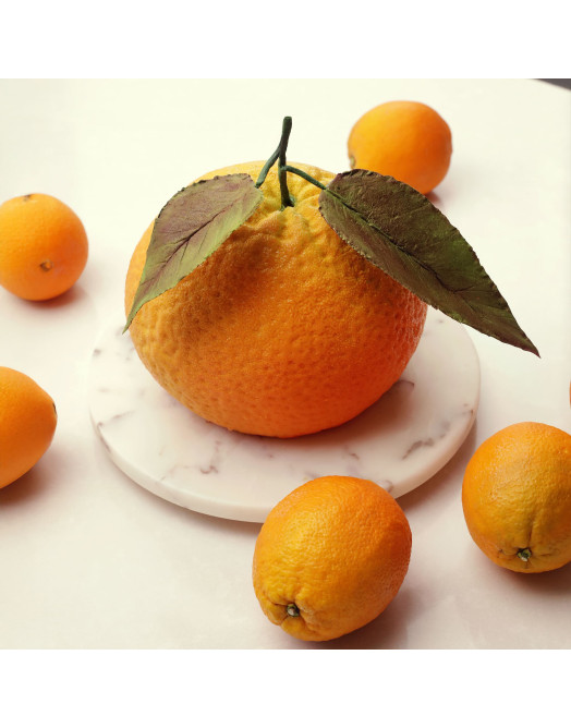 XXL Orange cake silicone mould handmade