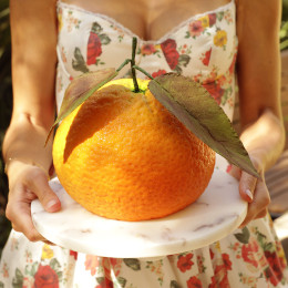 XXL Orange cake silicone mould handmade