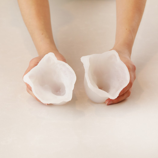 KIT Lion cake silicone mould handmade