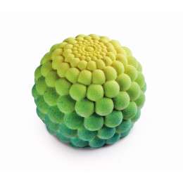 Mini Pearls cake silicone mould